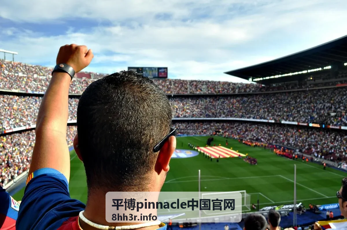 平博pinnacle中国官网服务内容展示